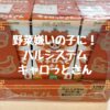 野菜嫌いの子に！パルシステムキャロっとさん